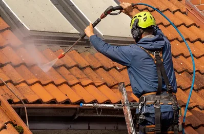 Démoussage et hydrofuge de toiture au Vaulmier